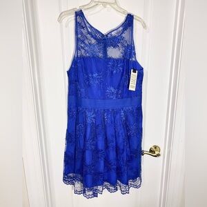 NWT BB Dakota Sparkly Floral Lace Scalloped Hem Sleeveless Mini Dress Royal Blue